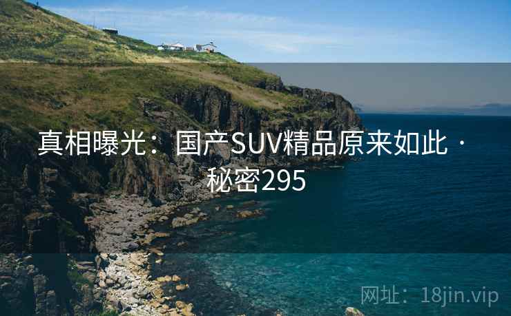 真相曝光：国产SUV精品原来如此 · 秘密295