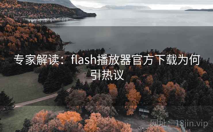 专家解读：flash播放器官方下载为何引热议